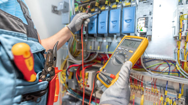 Best Ceiling Fan Installation Electrician  in Grass Lake, MI